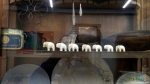 7. Семь слонов стоят на полке в центре исторического наследия ЮУЖД