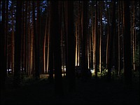 Геокешерский лагерь ночью / фото: ChepSer