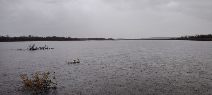 Непроходимый брод через Елец прямо по центру. Там где-то остров.