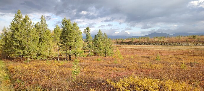 Пока ещё много солнца