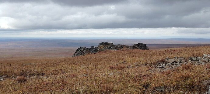 С редкими скалками