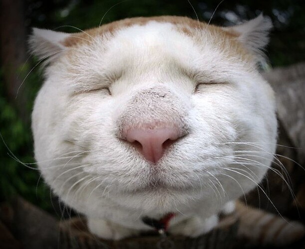 aca666c5cf2e91e3e35a70b0ba3959bc