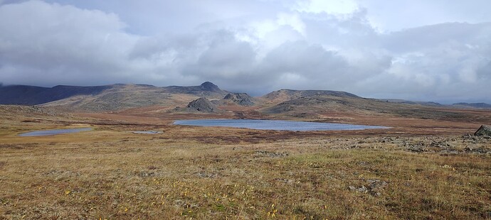 Безмятежный Монталор