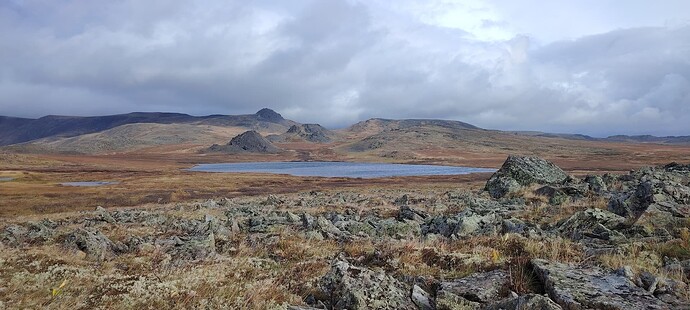 Безмятежный Монталор