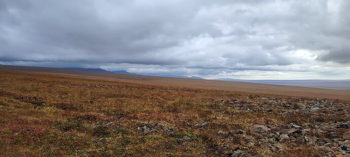 Самая удобная дорога на свете