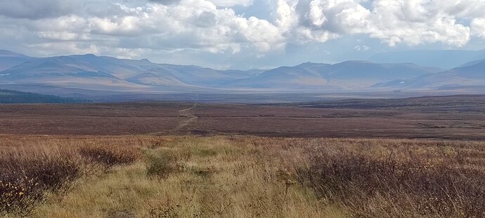 Дорога мечты!