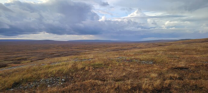 Великолепная тундра
