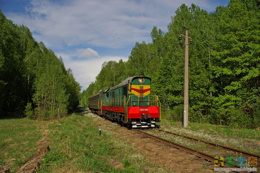 Зеленые железные дороги. Зеленый поезд. Поезд РЖД зеленый. Зеленая электричка. Поезд зеленого цвета.
