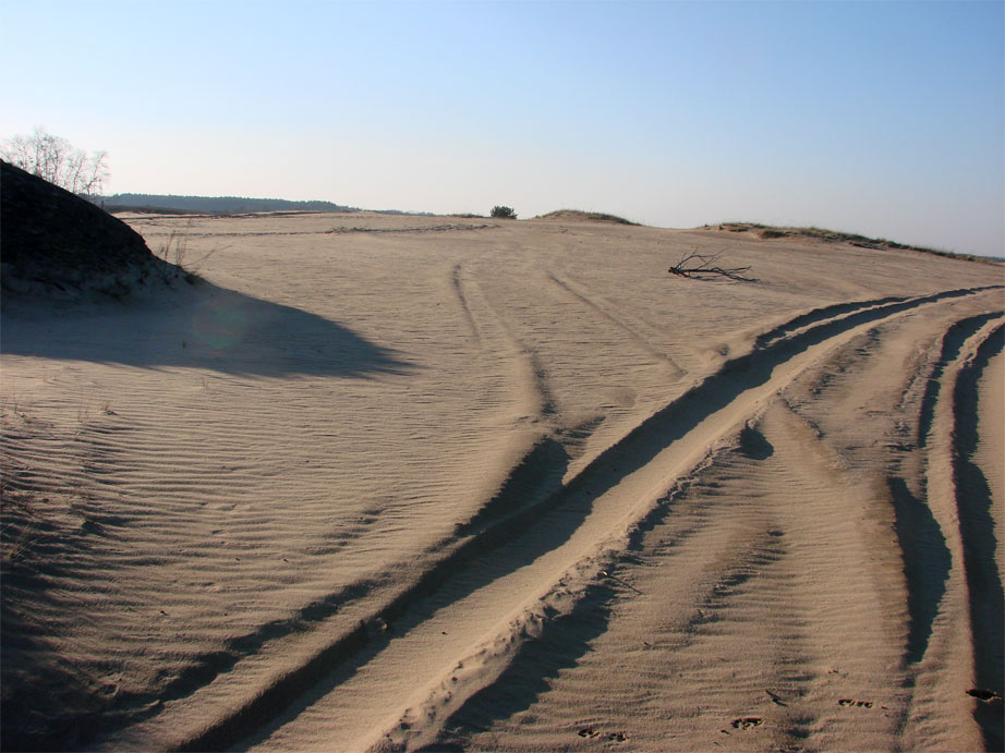 Дорога в дюнах 5. Долгая дорога в дюнах. Дорога в дюнах МАПП. Дюна. Расчищенная дорога в дюнах.