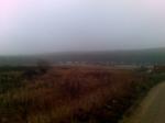 Лес с лабиринтом в тумане