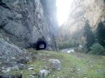 Лесовозный туннень, прорубленный пленными немцами