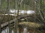 мостки через затопленное болото