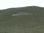 Поздравление с новосельем по татарски. Надпись выложена камнями на склоне горы : &quot;Елена любовь в новом доме твоем&quot;
