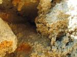 Окаменелые кораллы  
