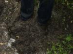 Почва местами была нестабильна:)) И вязли в грязи:))бывало - обильно... ))