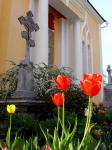 Буйство цветов в ограде церкви