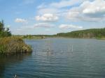 Озеро под Новочеркасским