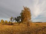 Осень в Дивногорье