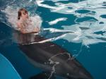 Плавание с дельфином