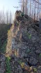 Hisa, скала и горелый лес