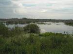 Живописнейшие болота на трассе Гаврилов-Посад - Тейково. Перед поворотом на оз. Рубское