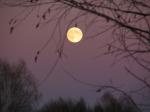 Одинокая луна над урочищем Ирба