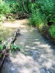 в мутные воды Кимерши впадает чистый ручей (искать справа)