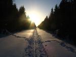Дорога Теплово-Еднево зимой