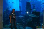 Гигантский аквариум в стиле затонувшего города