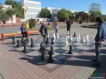 Шахматы и шахматисты