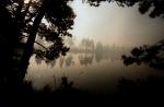 4. Сеньга. Туманное (или дымное) утро на Оленьем озере