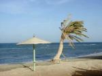 Море, зонтик и пальма