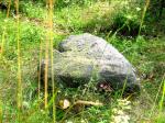 Камень-СЕРДЦЕ не пропал, он лежит у соседнего бугорка с перелеском, рядом с другими камнями..