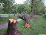 Последствия урагана 29.05.17 в Сиреневом саду