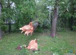 Сломаное ураганом дерево порушило ограду парка