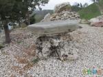  Каменный грибок