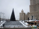 Памятник Шевченко, гостиница &quot;Украина&quot;, новогодняя ёлка