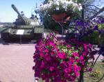 Цветы и танки!