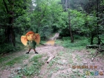 Отважный мышонок Десперо в Одинцовском лесу