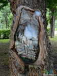 Картина на дереве