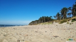 Балтийское море и пляж 
