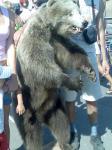 медведь...тоже персонаж Гоголя? :)