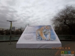 В Московском зоопарке вас встречает вот такой тигр :)