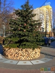 новогодняя елка в парке на месте &quot;сухого&quot; фонтана
