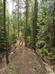 Прогулка по лесу