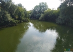 Зеленые воды реки Иж
