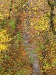 Осенний вид с Немецкого моста, на речку протекающую под ним.