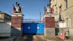 2 орнамента на воротах