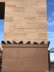 голуби на страже