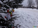 Снеговик залез на новогоднюю ель и поздравляет жителей деревни Лизуново с Рождеством